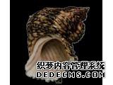 ˽֮ǣߵѫ